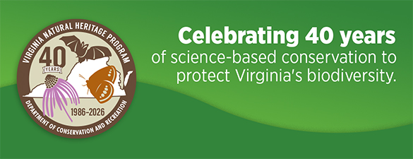 VANP 40th Anniversary