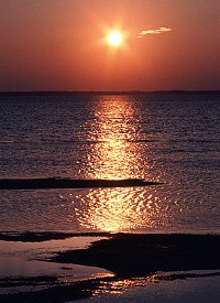 海军陆战队员的照片