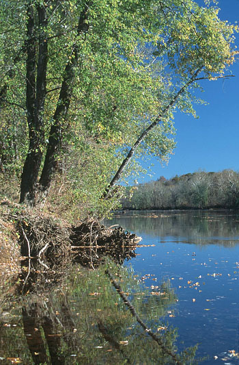 詹姆斯河和洪泛区的照片
