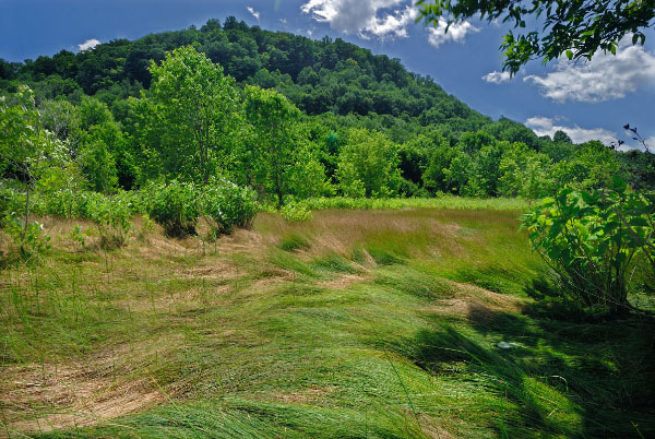 内陆盐沼的照片