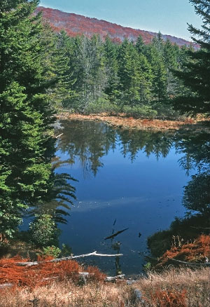 高能潮汐河流的照片