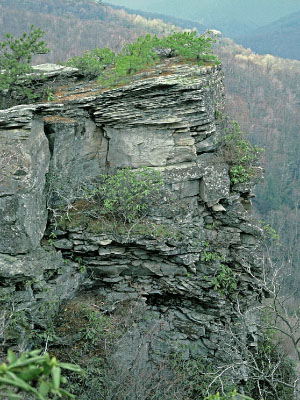 低海拔巨石林的照片