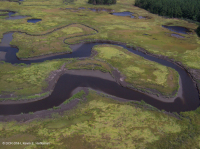 东岸盐沼综合体 东岸盐沼综合体