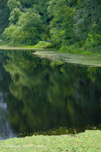 半永久性蓄水池(未分类) 半永久性蓄水池(未分类)