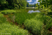半永久性蓄水池(未分类) 半永久性蓄水池(未分类)