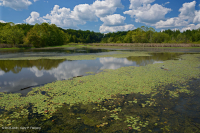 半永久性蓄水池(未分类) 半永久性蓄水池(未分类)