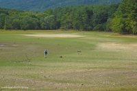 皮埃蒙特 / 中央阿巴拉契亚沙洲 / 河岸(低草本类型) – CEGL 006483 皮埃蒙特 / 中央阿巴拉契亚沙洲 / 河岸(低草本类型) – CEGL 006483