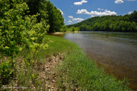 水柳岩吧和海岸 – CEGL 004286 水柳岩吧和海岸 – CEGL 004286