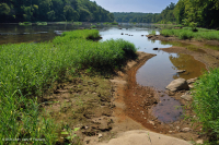 水柳岩吧和海岸 – CEGL 004286 水柳岩吧和海岸 – CEGL 004286