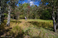 谢南多厄河谷落水池(典型类型) – CEGL 007858 谢南多厄河谷落水池(典型类型) – CEGL 007858