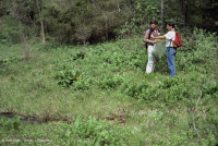山脊和山谷钙质沼泽/渗漏 山脊和山谷钙质沼泽/渗漏