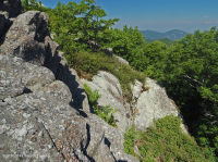 高海拔露头荒地(黑色乔基伯里火成岩/变质岩类型)– CEGL 008508 高海拔露头荒地(黑色乔基伯里火成岩/变质岩类型)– CEGL 008508