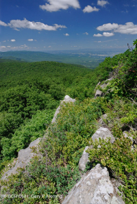 高海拔露头荒地(黑色乔基伯里火成岩/变质岩类型)– CEGL 008508 高海拔露头荒地(黑色乔基伯里火成岩/变质岩类型)– CEGL 008508