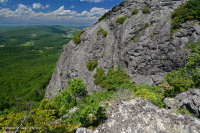 高海拔露头荒地(黑色乔基伯里火成岩/变质岩类型)– CEGL 008508 高海拔露头荒地(黑色乔基伯里火成岩/变质岩类型)– CEGL 008508