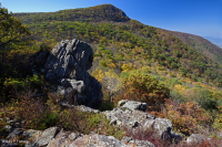 高海拔绿岩荒地 - CEGL 008536 高海拔绿岩荒地 - CEGL 008536