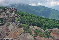 高海拔绿岩荒地 – CEGL 008536 高海拔绿岩荒地 – CEGL 008536