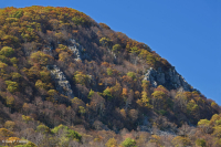 高海拔绿岩荒地 - CEGL 008536 高海拔绿岩荒地 - CEGL 008536