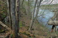 中阿巴拉契亚/皮埃蒙特低海拔丰富的巨石原森林 – CEGL 006471 中阿巴拉契亚/皮埃蒙特低海拔丰富的巨石原森林 – CEGL 006471