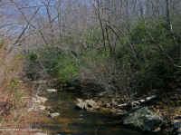 北部沿海平原 / 山麓橡树 - 山毛榉 / 石楠森林 – CEGL 006919 北部沿海平原 / 山麓橡树 - 山毛榉 / 石楠森林 – CEGL 006919