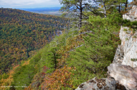 中央阿巴拉契亚松树 - 橡树 / 石楠林地 – CEGL 004996 中央阿巴拉契亚松树 - 橡树 / 石楠林地 – CEGL 004996