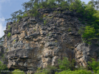 坎伯兰山脉耐旱砂岩悬崖 – CEGL 004392 坎伯兰山脉耐旱砂岩悬崖 – CEGL 004392