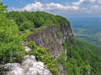 坎伯兰山脉耐旱砂岩悬崖 - CEGL 004392 坎伯兰山脉耐旱砂岩悬崖 - CEGL 004392