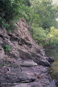 皮埃蒙特 / 中央阿巴拉契亚镁铁质 / 钙质悬崖 – CEGL 006479 皮埃蒙特 / 中央阿巴拉契亚镁铁质 / 钙质悬崖 – CEGL 006479
