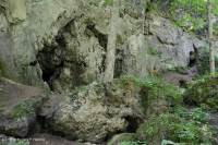 阿巴拉契亚干旱钙质悬崖 – CEGL 004476 阿巴拉契亚干旱钙质悬崖 – CEGL 004476