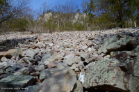 阿巴拉契亚中部低海拔酸性非血管悬崖 / 巨石场 – CEGL 004142 阿巴拉契亚中部低海拔酸性非血管悬崖 / 巨石场 – CEGL 004142