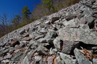 阿巴拉契亚中部低海拔酸性非血管悬崖 / 巨石场 – CEGL 004142 阿巴拉契亚中部低海拔酸性非血管悬崖 / 巨石场 – CEGL 004142