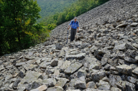 阿巴拉契亚中部低海拔酸性非血管悬崖 / 巨石场 – CEGL 004142 阿巴拉契亚中部低海拔酸性非血管悬崖 / 巨石场 – CEGL 004142