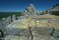 阿巴拉契亚中部低海拔酸性非血管悬崖 / 巨石场 – CEGL 004142 阿巴拉契亚中部低海拔酸性非血管悬崖 / 巨石场 – CEGL 004142