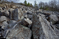阿巴拉契亚中部低海拔酸性非血管悬崖 / 巨石场 – CEGL 004142 阿巴拉契亚中部低海拔酸性非血管悬崖 / 巨石场 – CEGL 004142