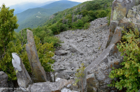 中央阿巴拉契亚镁铁质非血管悬崖 / 巨石场 – CEGL 004143 中央阿巴拉契亚镁铁质非血管悬崖 / 巨石场 – CEGL 004143