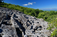 中阿巴拉契亚高海拔酸性非血管巨砾区 – CEGL 004389 中阿巴拉契亚高海拔酸性非血管巨砾区 – CEGL 004389