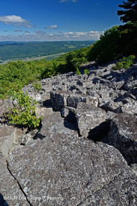中阿巴拉契亚高海拔酸性非血管巨砾区 – CEGL 004389 中阿巴拉契亚高海拔酸性非血管巨砾区 – CEGL 004389