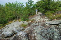 阿巴拉契亚耐旱松露头林地 – CEGL 004821 阿巴拉契亚耐旱松露头林地 – CEGL 004821