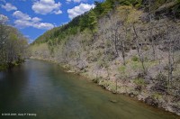 中阿巴拉契亚页岩荒地(南部类型) – CEGL 006562 中阿巴拉契亚页岩荒地(南部类型) – CEGL 006562