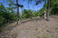 中阿巴拉契亚页岩荒地(北部类型)– CEGL 006288 中阿巴拉契亚页岩荒地(北部类型)– CEGL 006288