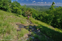 南蓝岭低海拔镁铁质荒地 – CEGL 006215 南蓝岭低海拔镁铁质荒地 – CEGL 006215