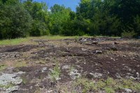 皮埃蒙特镁铁质贫瘠之地 - CEGL 006294 皮埃蒙特镁铁质贫瘠之地 - CEGL 006294