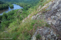 中阿巴拉契亚镁铁质/钙质荒地(低海拔类型)– CEGL 006037 (部分) 中阿巴拉契亚镁铁质/钙质荒地(低海拔类型)– CEGL 006037 (部分)