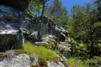 中阿巴拉契亚镁铁质/钙质荒地(低海拔类型)– CEGL 006037 (部分) 中阿巴拉契亚镁铁质/钙质荒地(低海拔类型)– CEGL 006037 (部分)