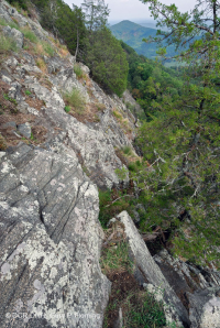 中阿巴拉契亚镁铁质/钙质荒地(低海拔类型)– CEGL 006037 (部分) 中阿巴拉契亚镁铁质/钙质荒地(低海拔类型)– CEGL 006037 (部分)