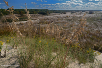 首次登陆州立公园沙丘群 首次登陆州立公园沙丘群