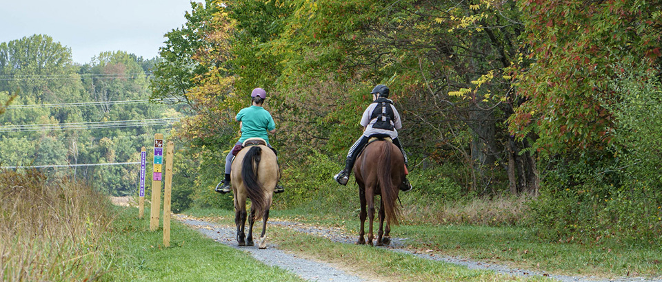 在 Sweet Run 骑马