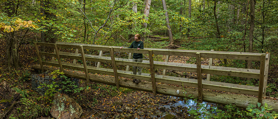 Sweet Run 州立公园的步道