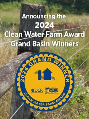 CWFA 奖项获奖者