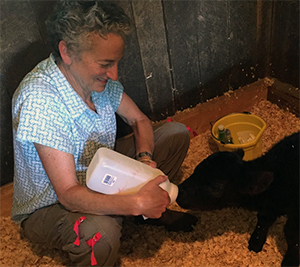 卡拉·埃文斯,溪山农场