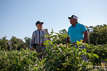 Rosas Farm——营养管理规划